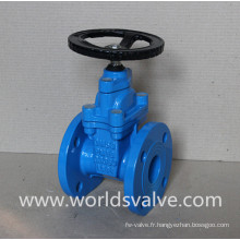 Valve de porte en fonte ductile BS5163 DIN3352 F4 F5 (Z45X-10/16)